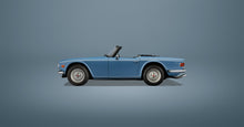 Load image into Gallery viewer, Icons Collection Large Canvas - Pre Orders