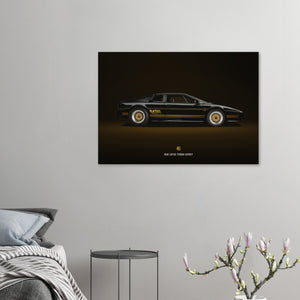 1982 Lotus Turbo Esprit Large Canvas